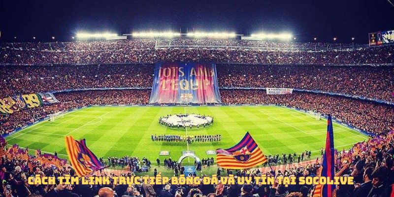 cách tìm link trực tiếp bóng đá uy tín